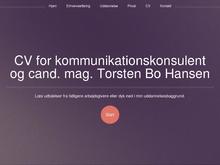 CMS Webdesign