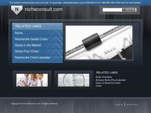 Niche Consult ApS
